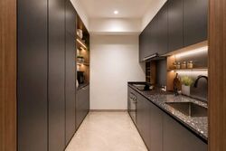 Daintree Residence (D21), Condominium #582825121